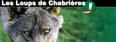 Les Loups de Chabrières - Parc animalier
